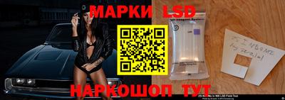 эйфоретик Аргун