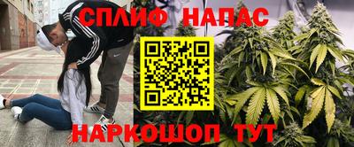 эйфоретик Аргун