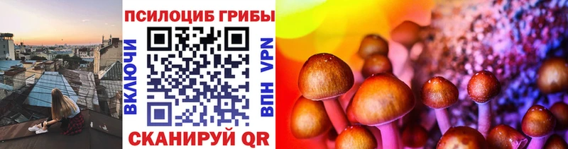 Псилоцибиновые грибы MAGIC MUSHROOMS  сколько стоит  Донецк 
