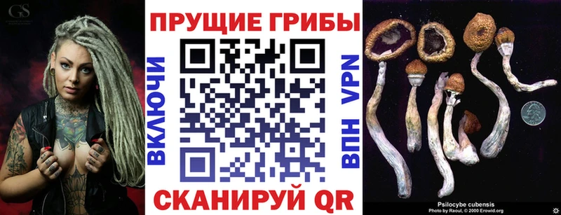 Псилоцибиновые грибы мицелий Донецк