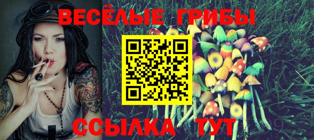 Галлюциногенные грибы Psilocybine cubensis Донецк