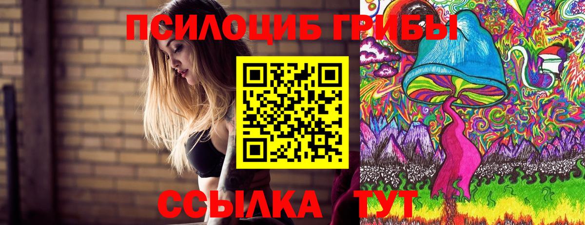 Псилоцибиновые грибы Psilocybine cubensis  Галлюциногенные грибы GOLDEN TEACHER  Донецк  купить  сайты  Вход с VPN 